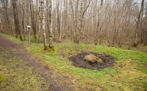 22_Šilalės alkavietė (1).jpg